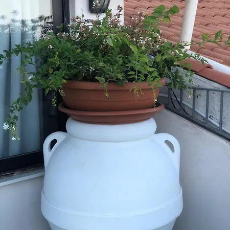 Сasa de vacaciones & Sea